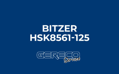 Protetto: Bitzer HSK8561-125 Matricola 1081001016