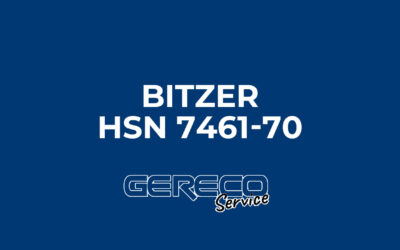 Protetto: Bitzer HSN 7461-70 Matricola 1074500581