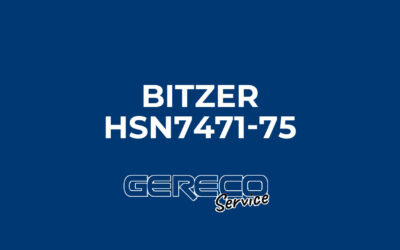 Protetto: Bitzer HSN7471-75 Matricola 1084200114